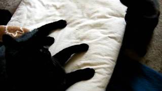 DSCF5385.AVI