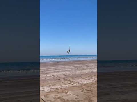 مالي بحر يرسيني