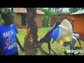 LUHYA COMEDY WHAT YOU MISSED IN 2024 KUKHU VAIDAH OMFYEKI KILIOPA COMEDY LUHYA COMEDY WHAT YOU MISSED IN 2024 KUKHU VAIDAH OMFYEKI KILIOPA COMEDY