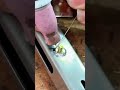 #welding #tigwelding #welder #walding #weldwheels #weld #youtubeshorts #diy #metalwork #steel