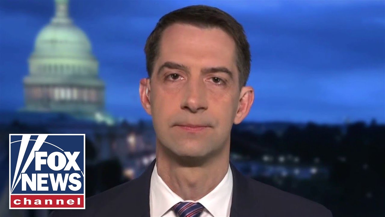 ⁣Tom Cotton quotes 'Billy Madison,' rips Pelosi's border remarks