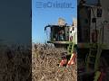 Claas Tucano 430 | Beautiful Tractors #shorts #tractor #viral