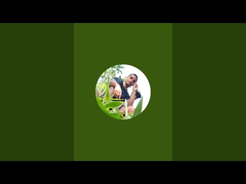 @CHIBIBRA tv is live!