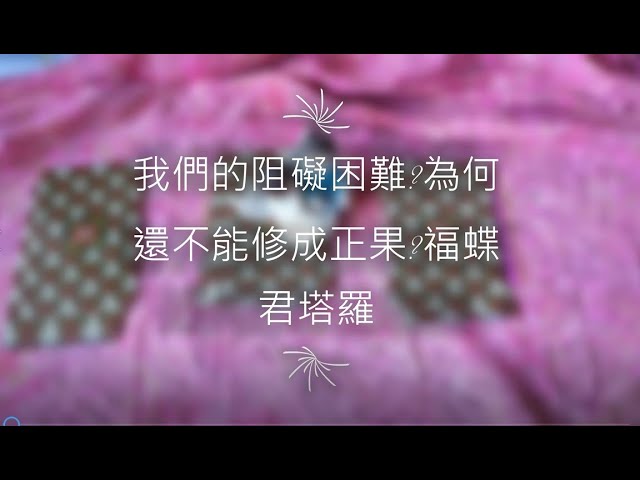 我們的阻礙困難?為何還不能修成正果?福蝶君塔羅 縮圖
