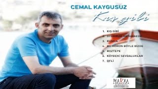 Cemal Kaygusuz - Kış Gibi Resimi