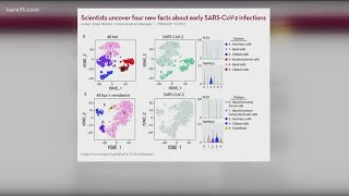 U of M scientists discover cells that SARS-CoV-2 infects first, confirm effectiveness of remdesivir