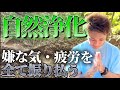 【浄化動画】霊媒師が"自然の力"で嫌な気や疲労を振り払います