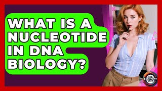 What Is A Nucleotide In DNA Biology? - The Everyday Why