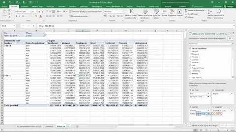 TCD 32: Comment filtrer un rapport de tableaux croisé dynamique