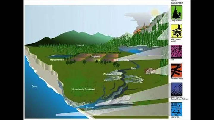 Eastern U.S. Biological Carbon Storage Potential Assessment