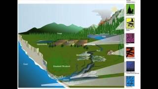 Eastern U.S. Biological Carbon Storage Potential Assessment