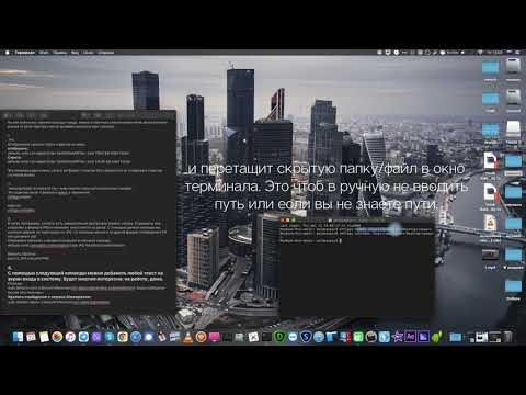 Полезные команды Terminal,