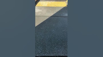 Tactile paving (sidewalk requirements)@shalom tech