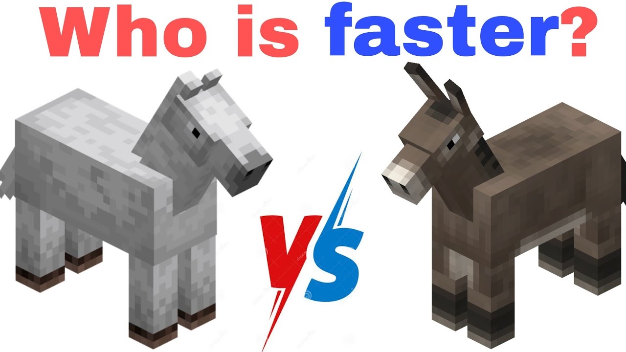 Horse vs Donkey Who will win🎖️? YouTube
