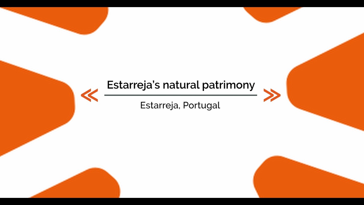 Promotion and Conservation of Estarreja’s Natural Patrimony - Estarreja, Portugal