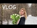 VLOG Три сестры уехали гулять. И мы вышли подышать