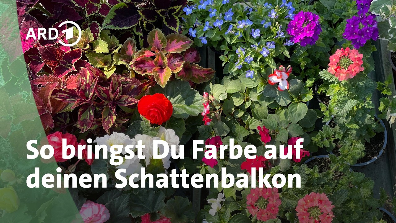 blumenkasten poetic Blumenkasten Colorful – Industriestil main image 0