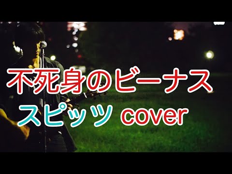 不死身のビーナス　スピッツ（spitz）　弾き語り　カバー／浅井しんや