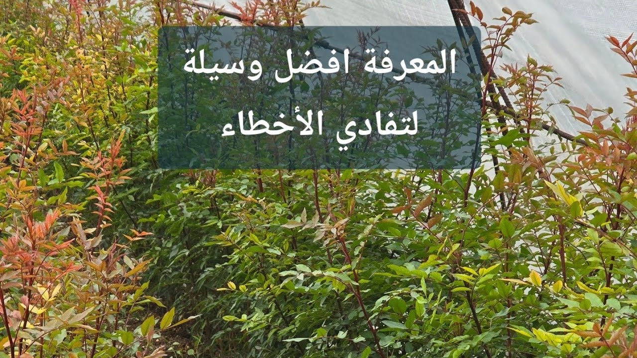 مهم جداً للمزارعين و أصحاب المشاتل ، شرح مفصل لجميع أنواع حامل طعم الفستق الحلبي ، اعرف شو عم تزرع!