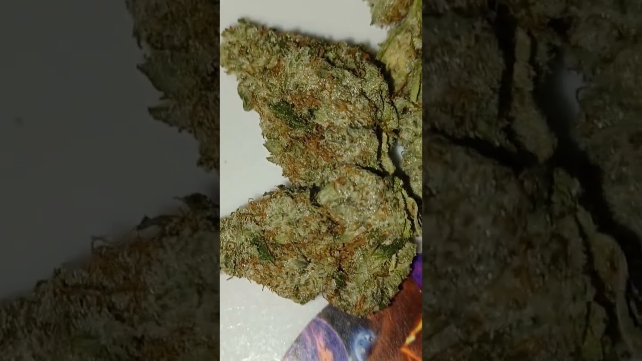 Hydroponic Big League strain. Check out my full review.