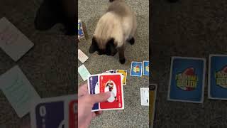 Noelle Plays Football?