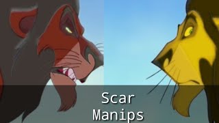 Scar Manipanimash