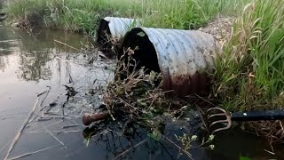 “BEAVERS PIPE EXPLOSION” Unclogging Culvert Intake By Removing Beaver Dam