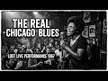 Etta James, Led Zeppelin, AC/DC, Deep Purple – Classic Blues Rock Guitars Power &amp; Gritty Lady Vocals