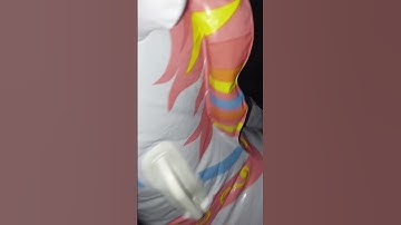 A Closer Look | 2018 Intex Pony