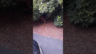 Tact Action-Hiding