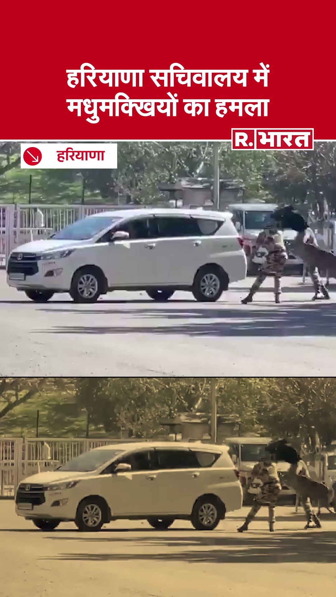 Haryana: सचिवालय में मधुमक्खियों का तांडव | Haryana Secretariate Bee Attack