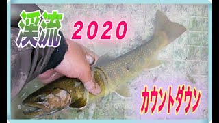 ２０２０渓流釣りカウントダウン！尺ヤマメ・尺イワナを狙って雨の中の釣行！！