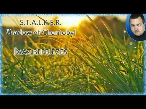 Videó: A Stalker Játék Befejezése