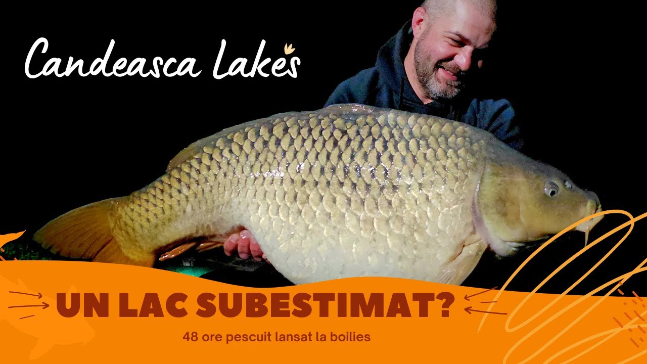 LA 31 GRAME de un nou record personal! 😮‍💨 CANDEASCA LAKES, pescuit la crap!