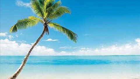 Islands (modular synth patch) [Mutable Instruments Rings, 4ms SMR]