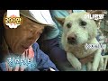 잃어버렸던 강아지를 찾은 남자 잠시 후 충격적인 사실을 알게 되는데..ㅣMan Who Found His Missing Dog Learns About A Shocking Truth