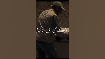 #قرآن #اكسبلور #اللهم_صل_على_محمد_وال_محمد #المصحف #اللهم_صل_وسلم_على_نبينا_محمد #القارئ