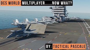 DCS WORLD | Multiplayer....now what?