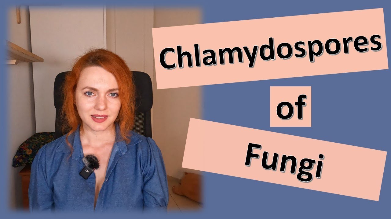 Chlamydospores of Fungi