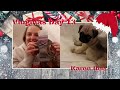 Vlogmas 2020 Day 13 | Shopping for Puppy things &amp; Drinking Wine | Karen Bee