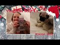 Vlogmas 2020 Day 13 | Shopping for Puppy things & Drinking Wine | Karen Bee