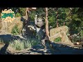 Snow Leopard Habitat | Planet Zoo Speed Build | Pine Mountain Sanctuary