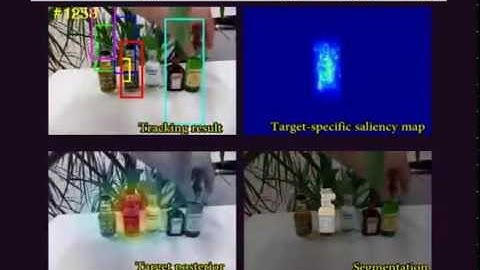 Online Tracking by Learning Discriminative Saliency Map with Convolutional Neural Network