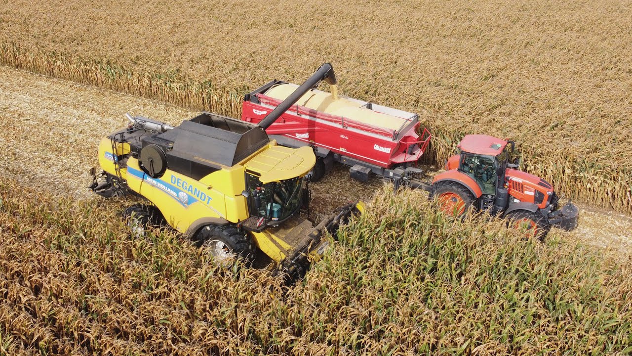 Loonwerken Degandt - Mais dorsen 2023