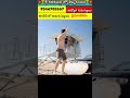 Wait for end #short #shorts #viral #viralvideos #facts #trendingshorts #trendingvideo