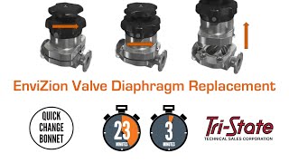 ITT EnviZion Valve Maintenance: Diaphragm Replacement