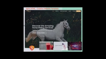 Multipurpose Themes: The Powerful Admin Templates, WordPress Themes, Opencart Themes & HTML Template