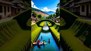 Luxury Smart Farm Automatically Ready 🏡✨ | Future Farming Technology #Shorts