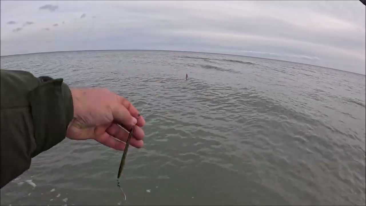 Plattfisch und Meerforellen mit der Spinnrute am 1. Advent 2025, Flunderwunder und Blinker... TEIL 1