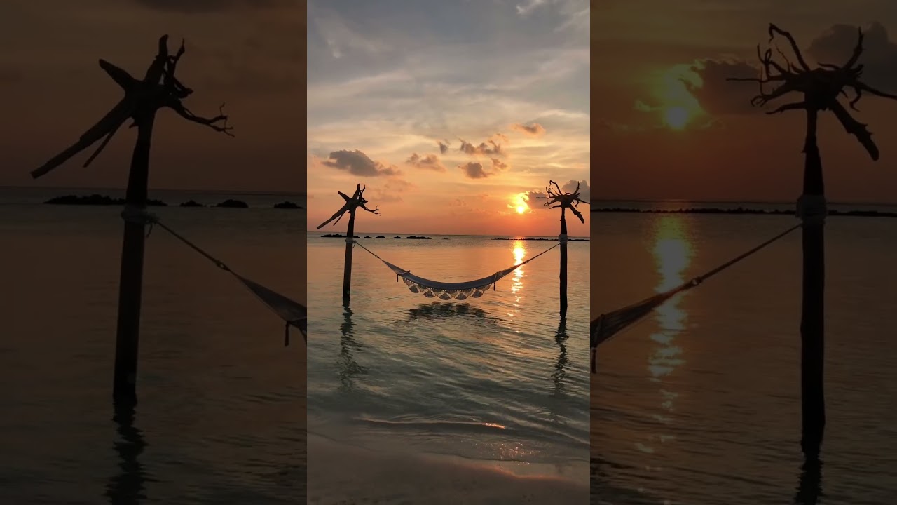 How to Travel the Maldives on a Budget: Pro Tips for Affordable Luxury! 🌴✨